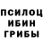 Псилоцибиновые грибы MAGIC MUSHROOMS Nik Less