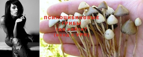 дурь Елабуга