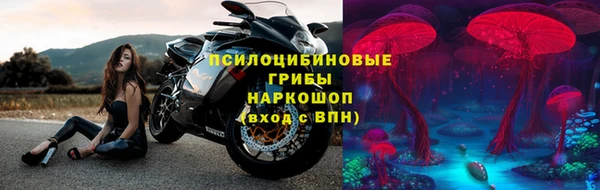 дурь Елабуга