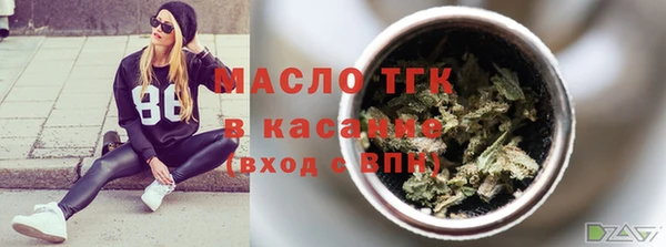 скорость Ельня
