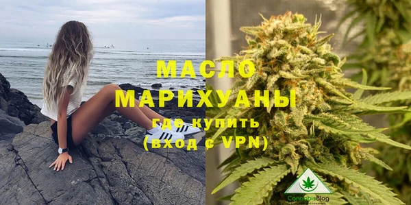 скорость Ельня