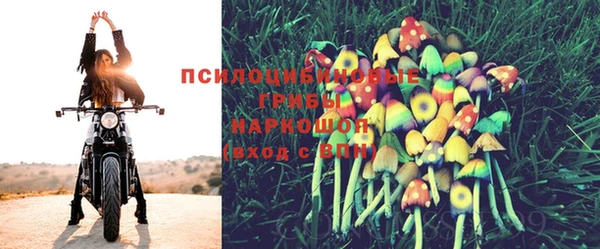 дурь Елабуга