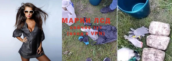 скорость Ельня