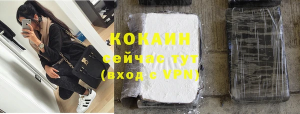 скорость Ельня