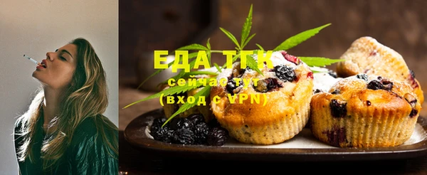 скорость Ельня