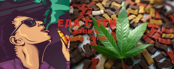 скорость Ельня